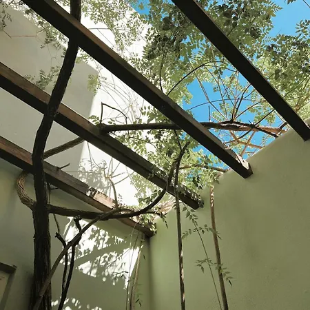 Casa Bonita Olhão
